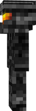 skin1