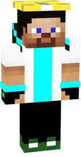 cool steve skin
