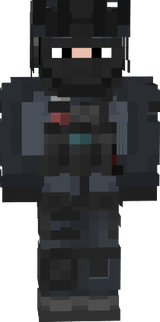 MW2 Millitary skin