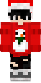 noel skin