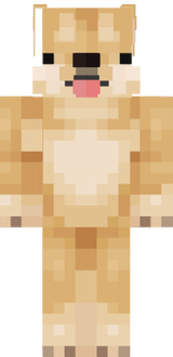 Corgi