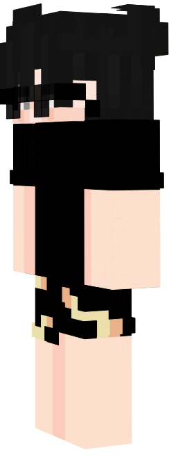Preview of texture: pinta