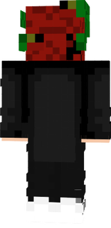 sata_11