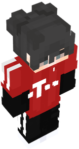 Skin YT