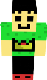 skin