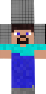 steve