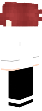 TOP SKIN