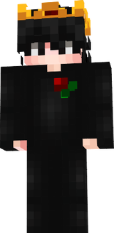 bestofpojav