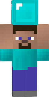 stevecaryingdiamodblock