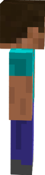 steve