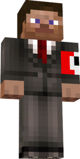 political steve