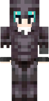 net set