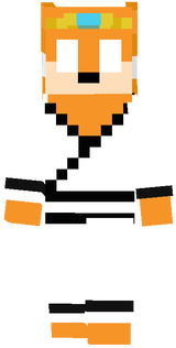 karate Tikal the echidna 