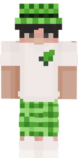 vDr1p quince año minecraft V2