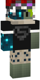 srter