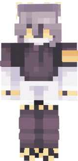 v version finale