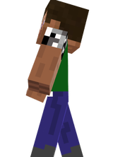 steve