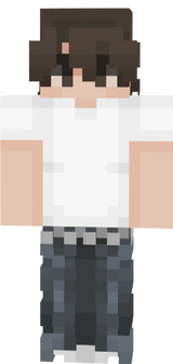 skin minecraft