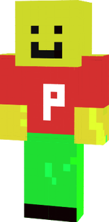 PARADAJKAS SKIN 8
