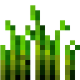 wheat_stage_5