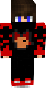 FoxGamer202211