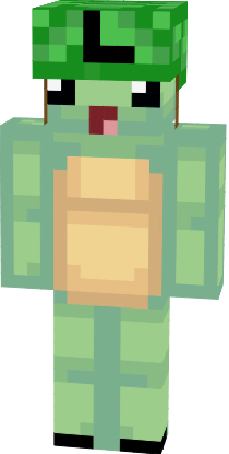 Preview of texture: Trtle