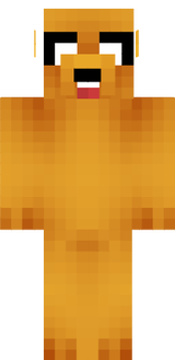 acebix