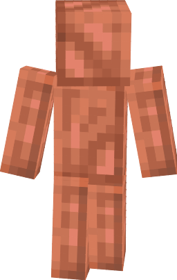 Preview of texture: copper skin