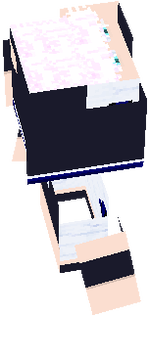 ss