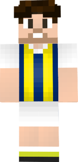 ferdi 2