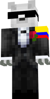 skin2024