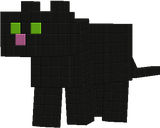 Caht noir