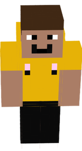 metoş