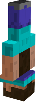 steve