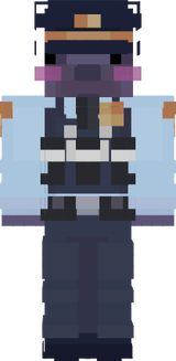 234452453