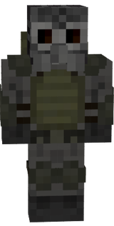 ninn
