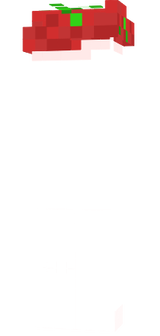 tor