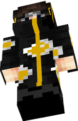 4 Skinn
