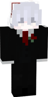 skinnavidena