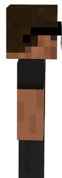 Mine-Imator Punked glases version