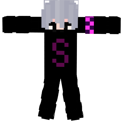 Preview of texture: noelminecraftskin