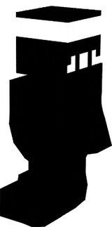 n sei o nome invertido