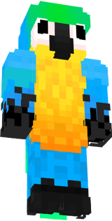 skin