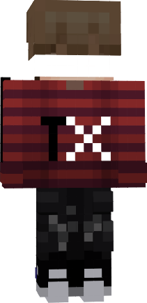Preview of texture: tx