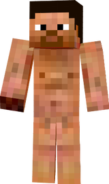 steve 
