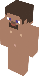 Steve skin