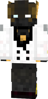 skin2024
