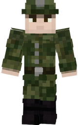 Скин