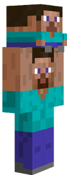 steve but dsadlş