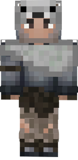 Minha Skin Pesonalizada